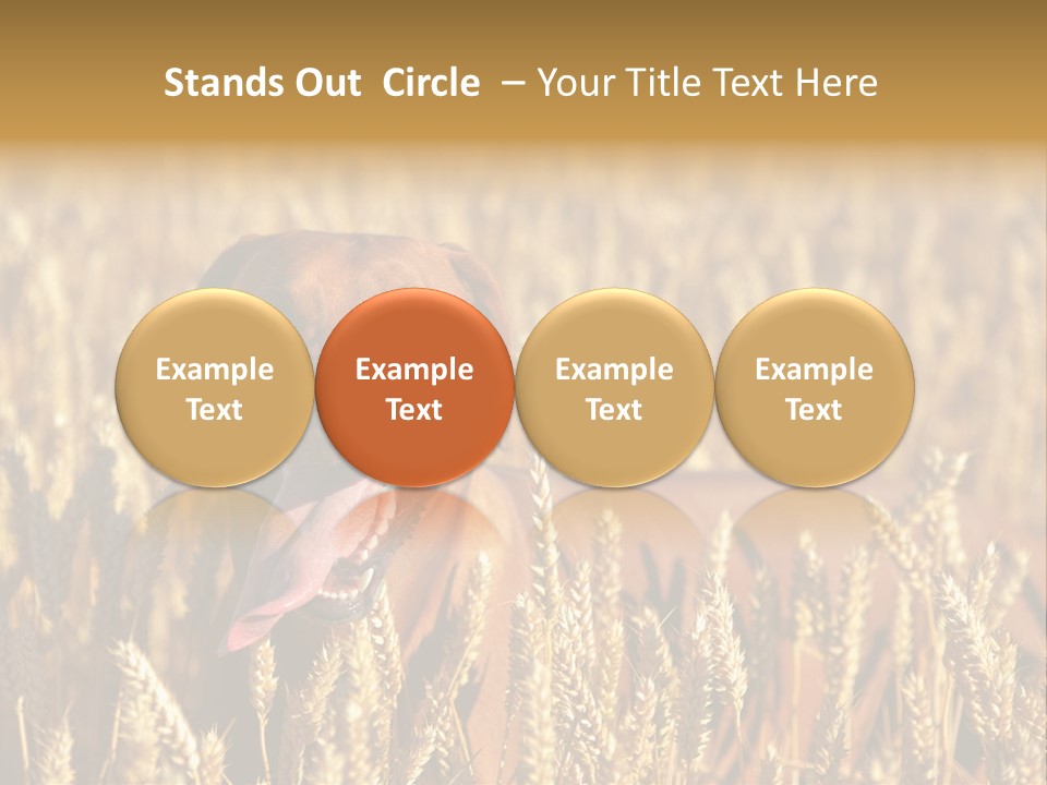 Portrait Dog Agricultural PowerPoint Template