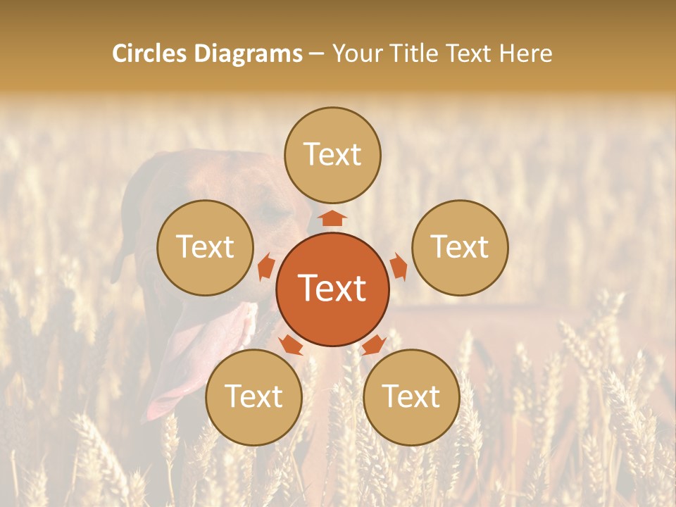 Portrait Dog Agricultural PowerPoint Template