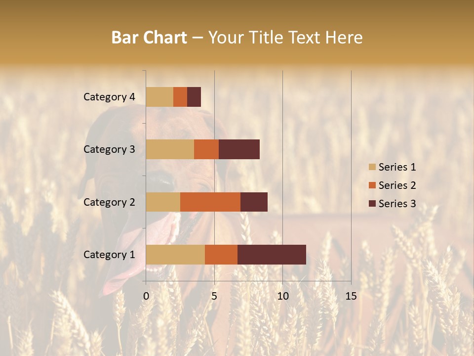 Portrait Dog Agricultural PowerPoint Template