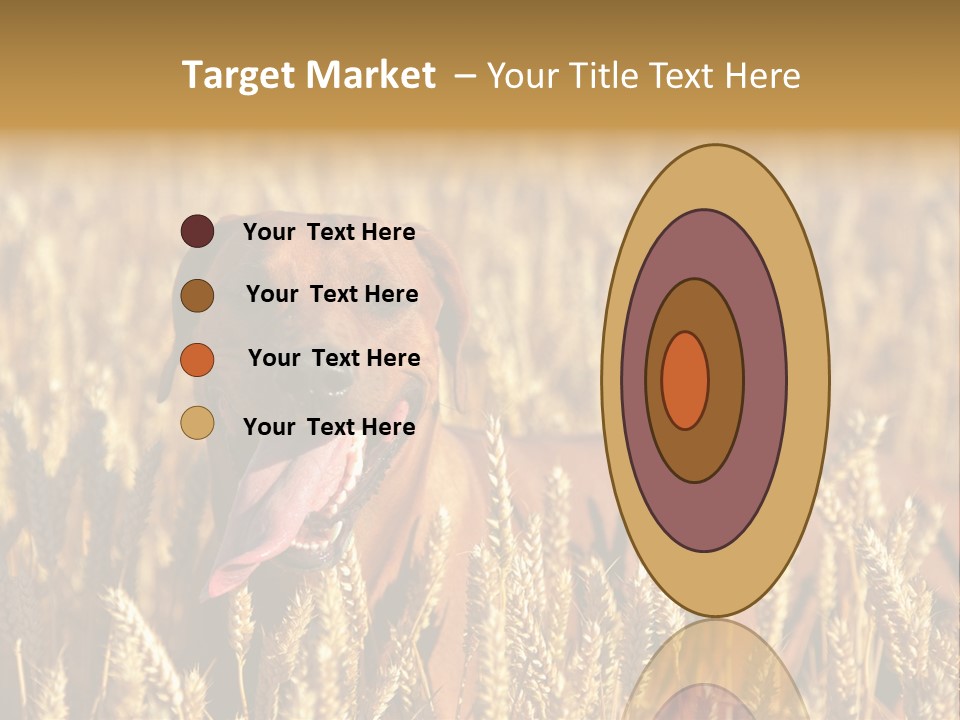 Portrait Dog Agricultural PowerPoint Template