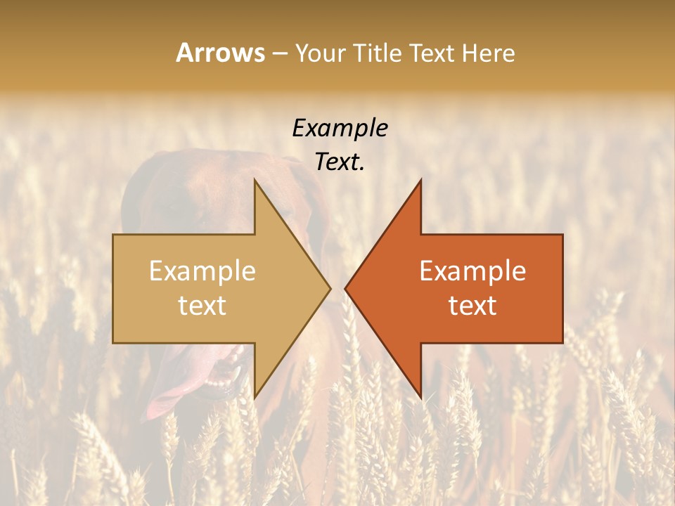 Portrait Dog Agricultural PowerPoint Template