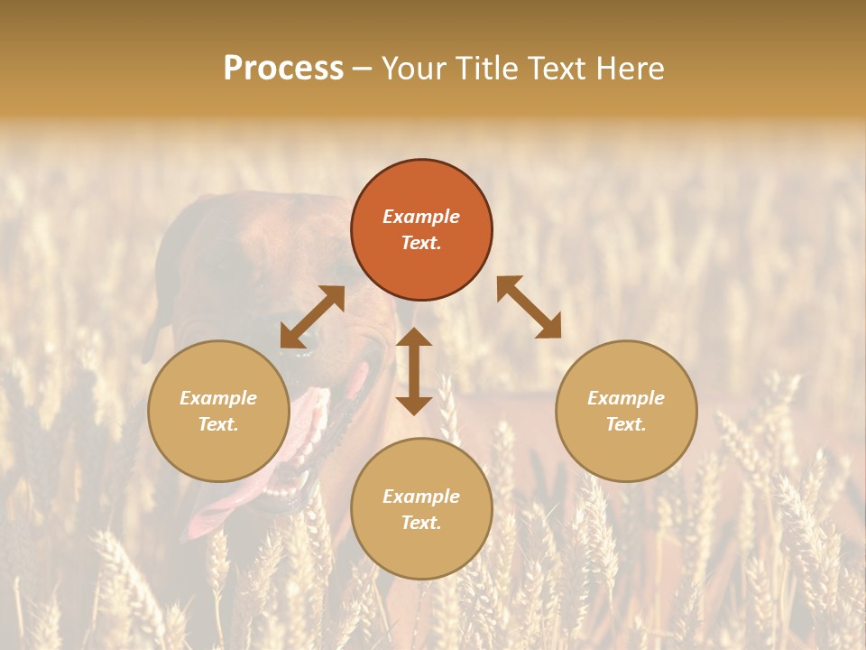 Portrait Dog Agricultural PowerPoint Template