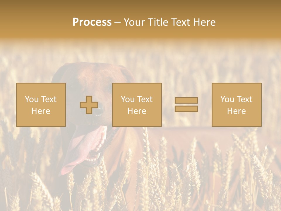 Portrait Dog Agricultural PowerPoint Template
