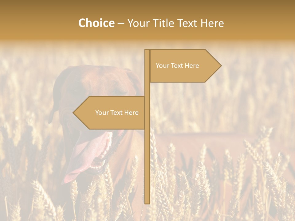 Portrait Dog Agricultural PowerPoint Template