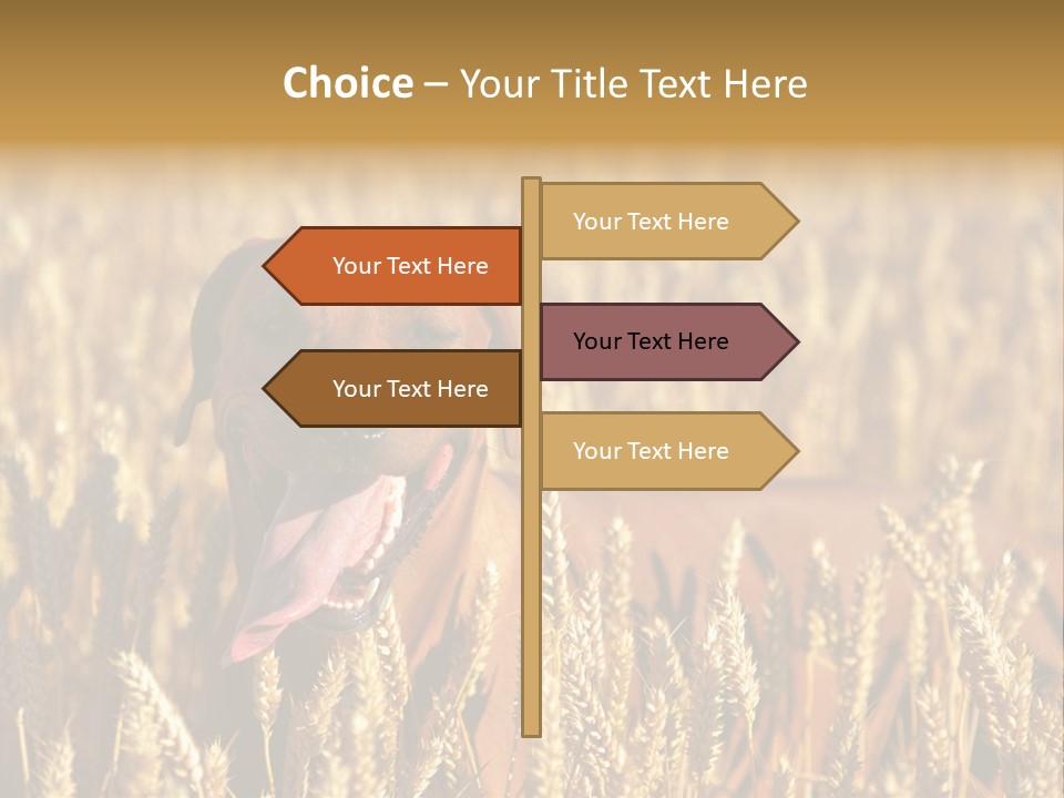 Portrait Dog Agricultural PowerPoint Template