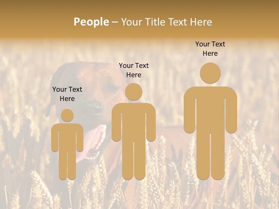 Portrait Dog Agricultural PowerPoint Template