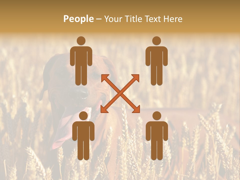 Portrait Dog Agricultural PowerPoint Template