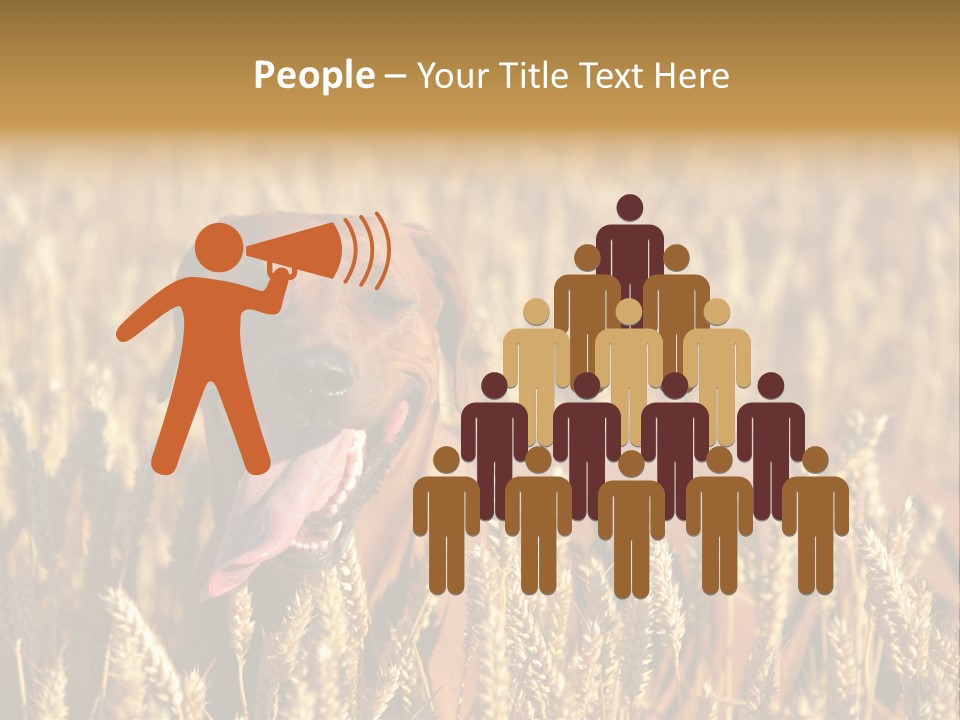 Portrait Dog Agricultural PowerPoint Template