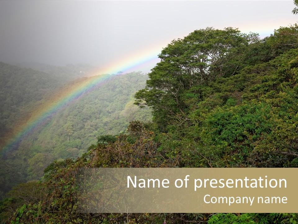 A Rainbow In The Sky Over A Forest PowerPoint Template
