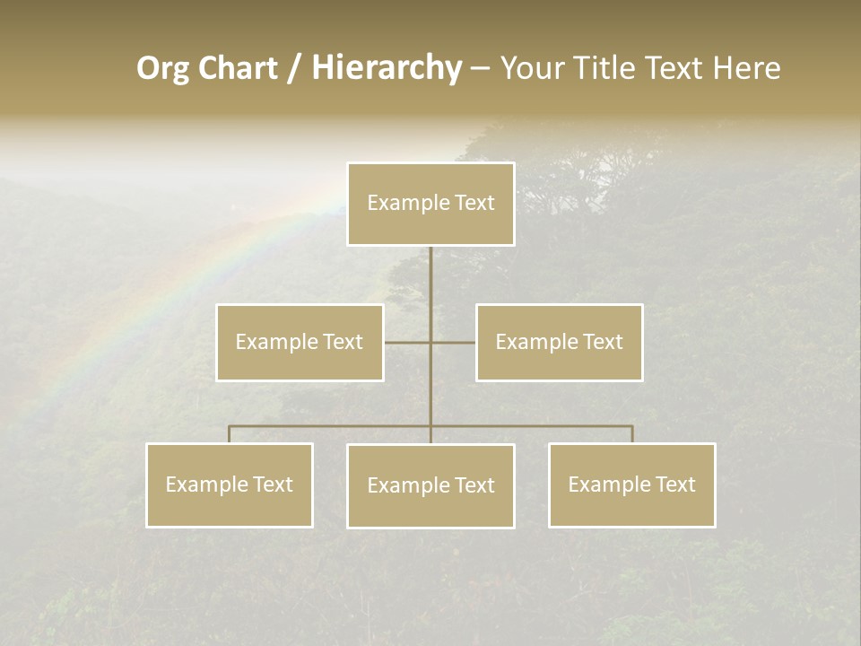 A Rainbow In The Sky Over A Forest PowerPoint Template