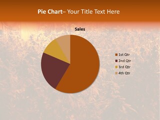 Medicinal Smoker Flame PowerPoint Template