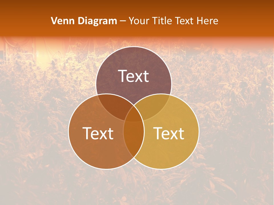 Medicinal Smoker Flame PowerPoint Template