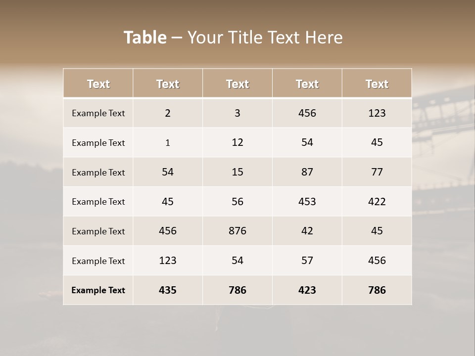 Boy Aviation Copilot PowerPoint Template