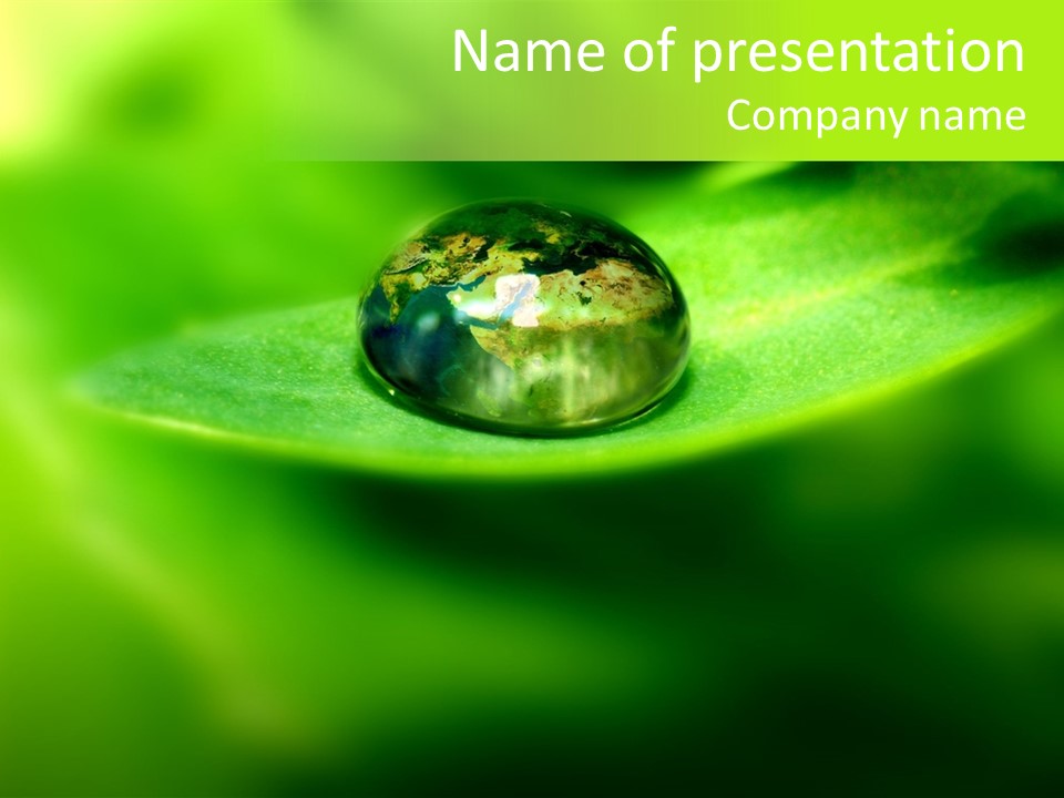 Textured Leaf Transparent PowerPoint Template