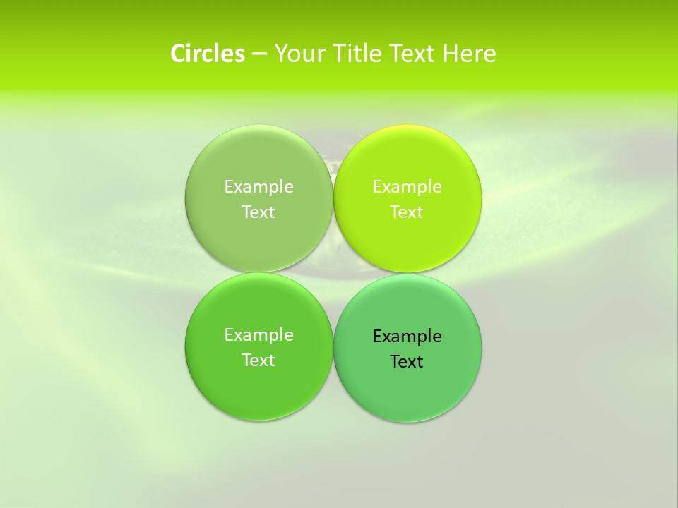 Textured Leaf Transparent PowerPoint Template