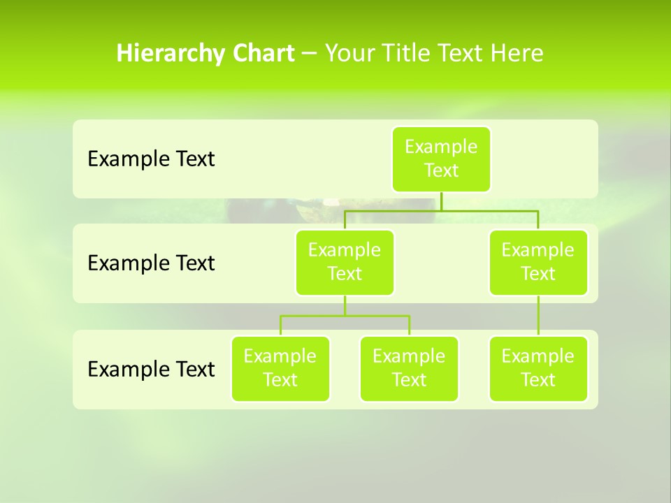Textured Leaf Transparent PowerPoint Template