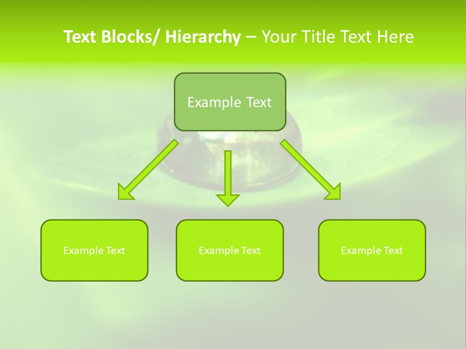 Textured Leaf Transparent PowerPoint Template