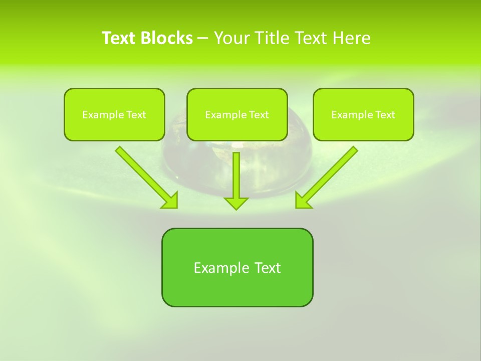 Textured Leaf Transparent PowerPoint Template