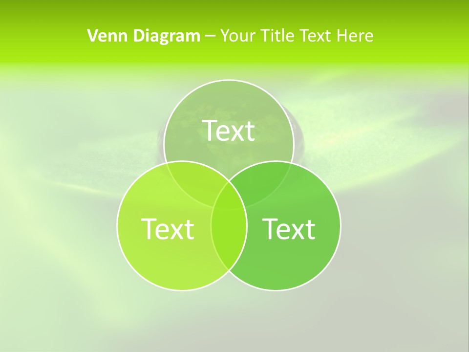 Textured Leaf Transparent PowerPoint Template