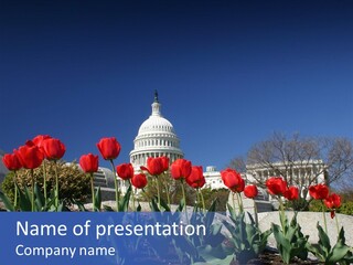 Red Capital Washington PowerPoint Template