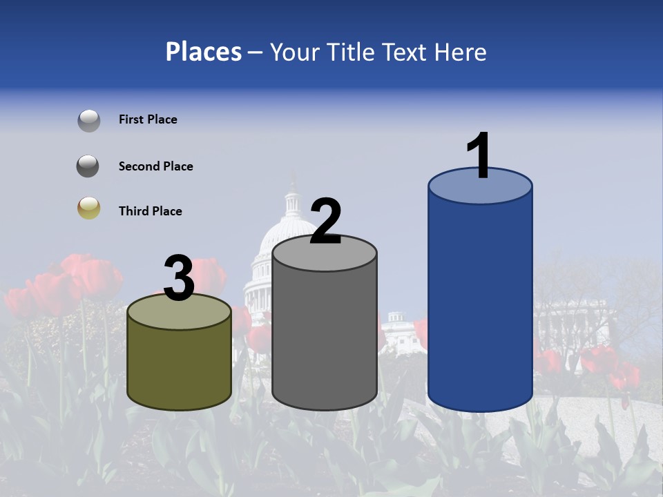 Red Capital Washington PowerPoint Template