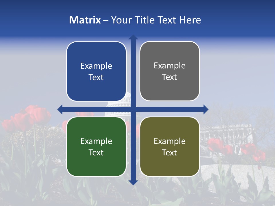 Red Capital Washington PowerPoint Template