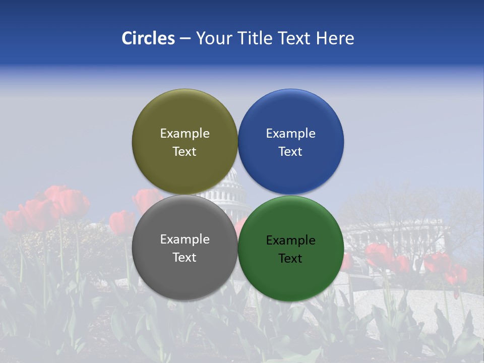 Red Capital Washington PowerPoint Template