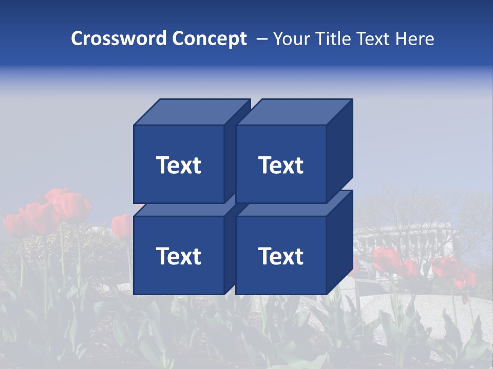 Red Capital Washington PowerPoint Template