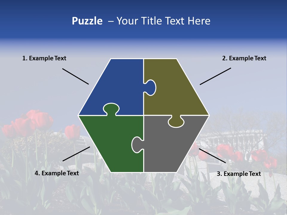 Red Capital Washington PowerPoint Template