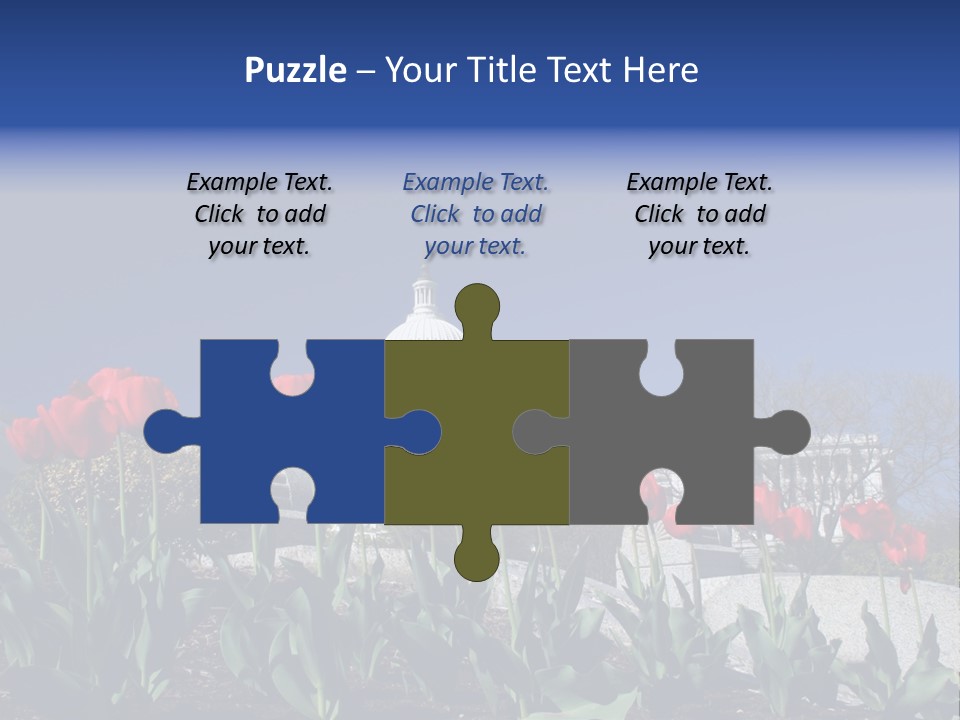 Red Capital Washington PowerPoint Template