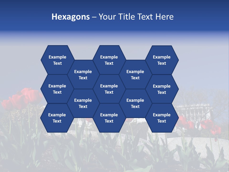 Red Capital Washington PowerPoint Template