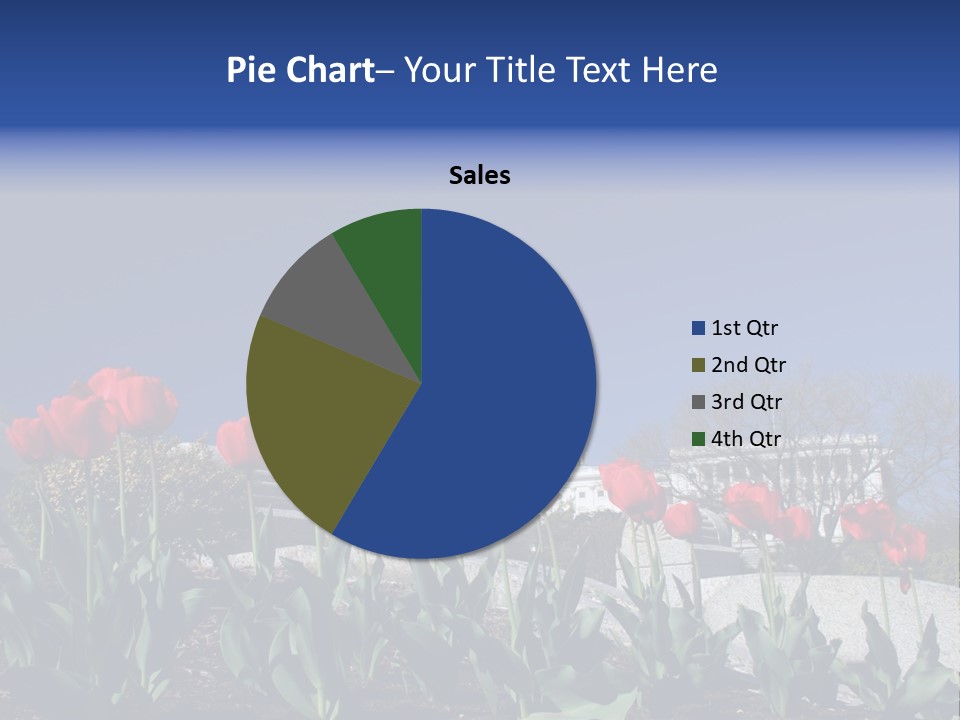 Red Capital Washington PowerPoint Template