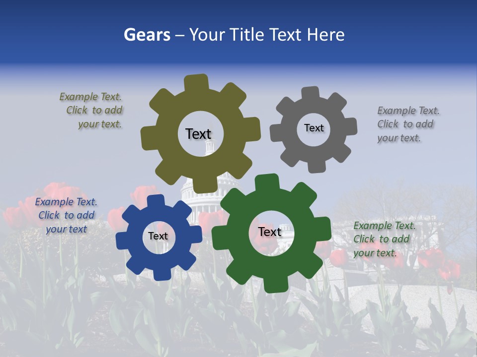 Red Capital Washington PowerPoint Template