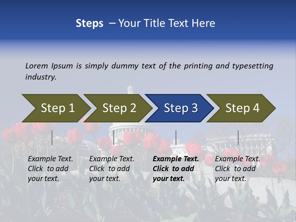 Red Capital Washington PowerPoint Template