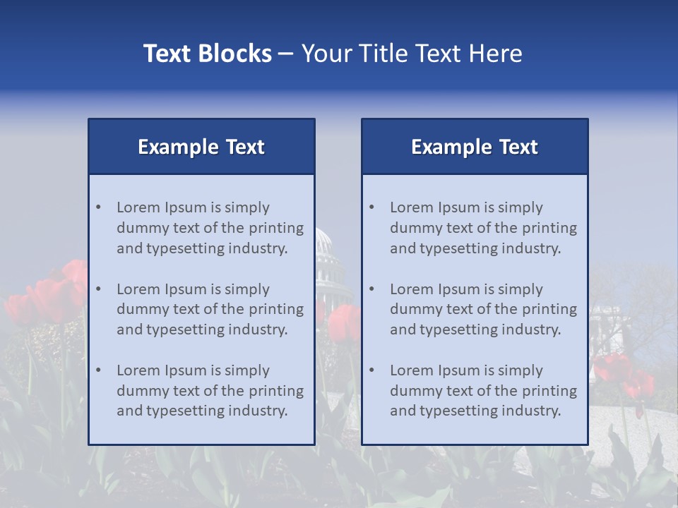 Red Capital Washington PowerPoint Template