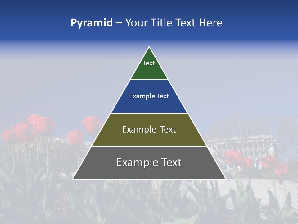 Red Capital Washington PowerPoint Template
