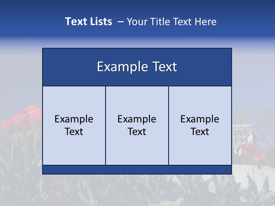Red Capital Washington PowerPoint Template