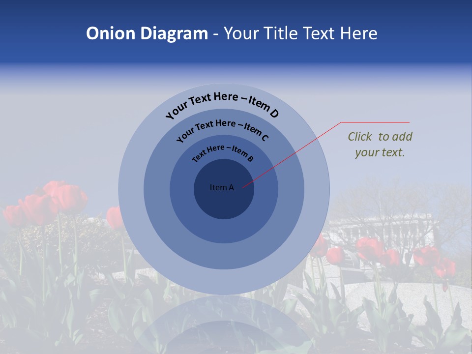 Red Capital Washington PowerPoint Template