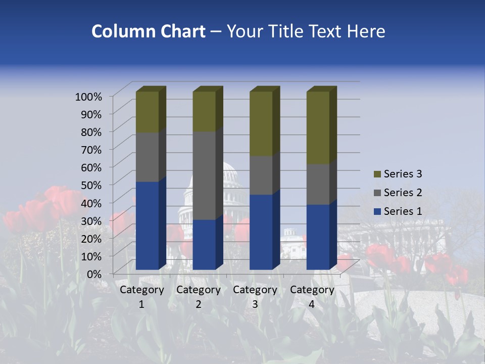 Red Capital Washington PowerPoint Template