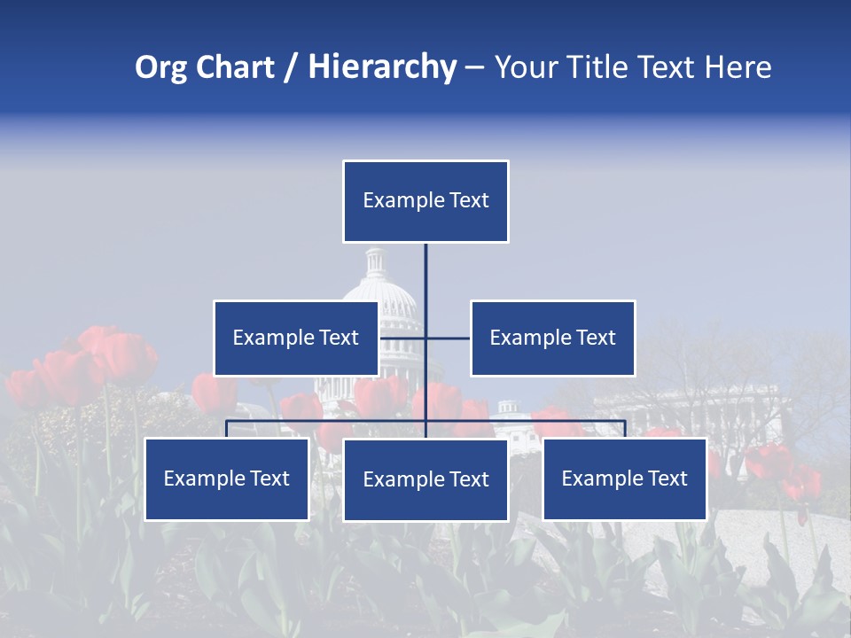 Red Capital Washington PowerPoint Template