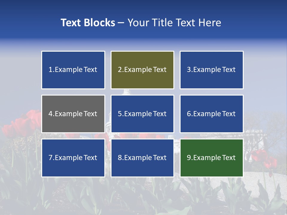 Red Capital Washington PowerPoint Template