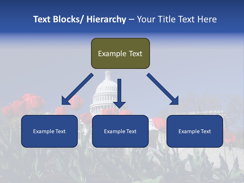 Red Capital Washington PowerPoint Template
