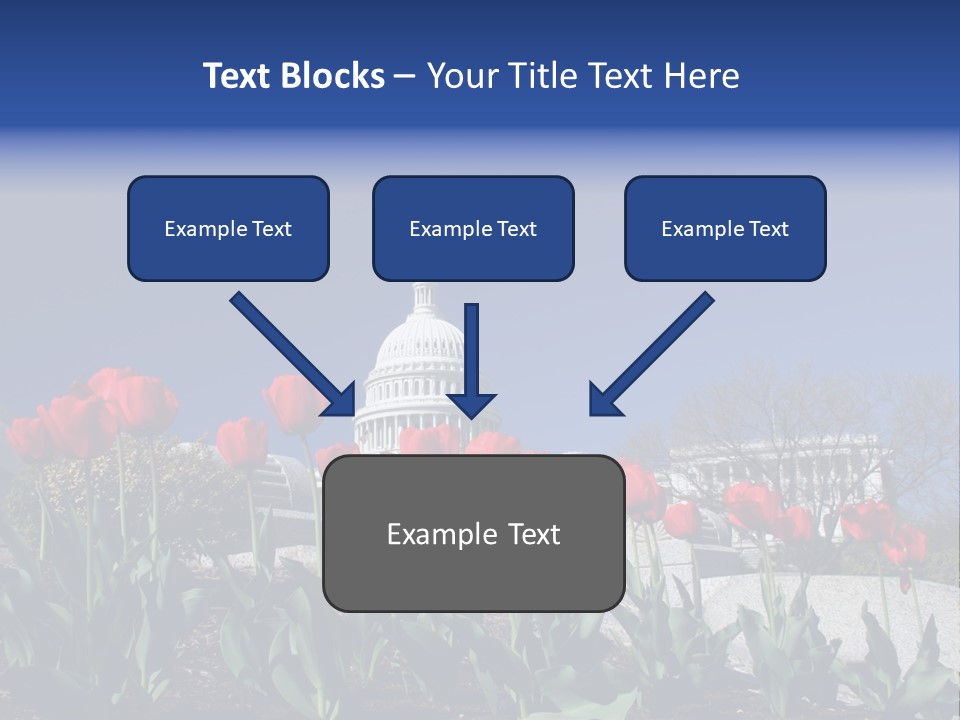 Red Capital Washington PowerPoint Template