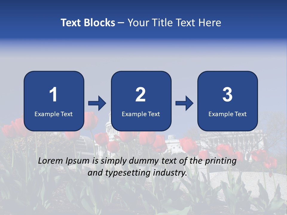 Red Capital Washington PowerPoint Template