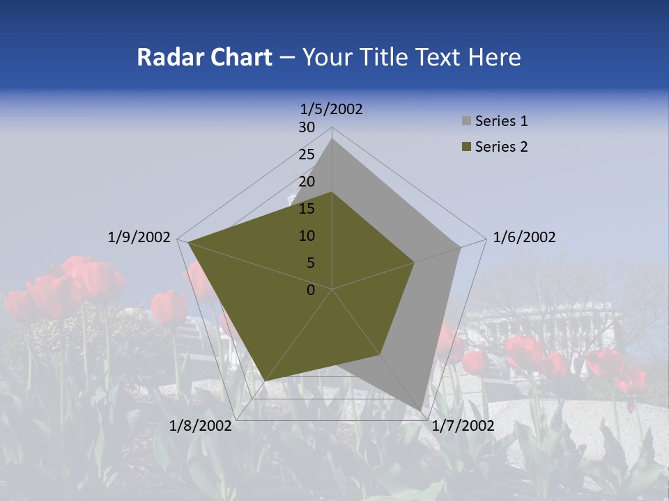 Red Capital Washington PowerPoint Template