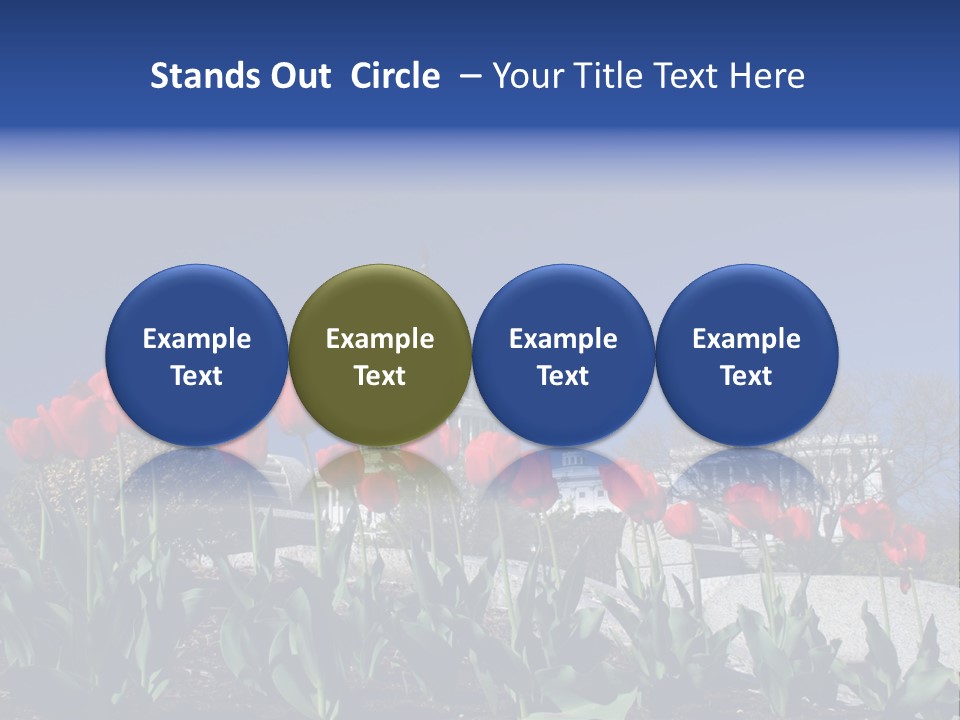 Red Capital Washington PowerPoint Template