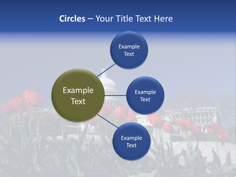 Red Capital Washington PowerPoint Template