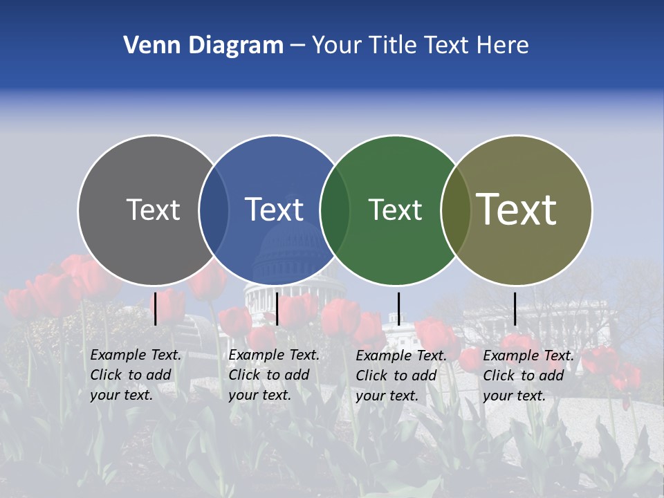 Red Capital Washington PowerPoint Template