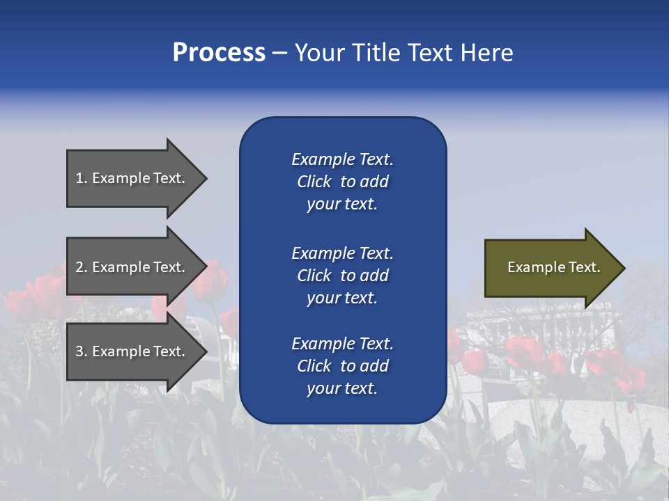 Red Capital Washington PowerPoint Template