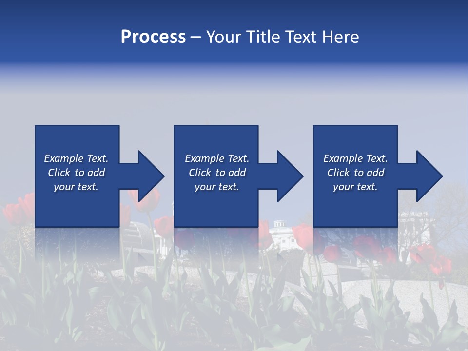 Red Capital Washington PowerPoint Template